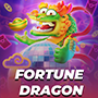 co66 fortune dragon