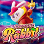 co66 fortune rabbit